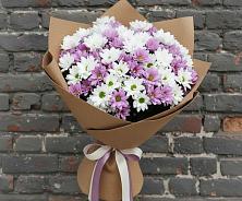 Букет цветов из:  Хризантемы #REPLACE_PRED# Чурилково