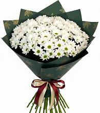 Букет цветов из:  Хризантемы #REPLACE_PRED# Чурилково